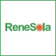 ReneSola to Provide Made-in-India Solar PV Modules to Indian Market